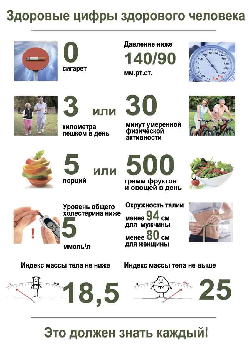 Инфографика Здоровые цифры здорового человека 2015 compressed